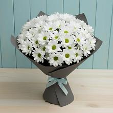 Букет цветов из:  Хризантемы #REPLACE_PRED# Сорокино