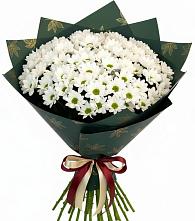 Букет цветов из:  Хризантемы в Сорокино