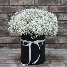 Цветочная композиция из Гипсофила в шляпной коробке в Сорокино