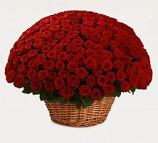 Премиум букет из: Розы в Сорокино